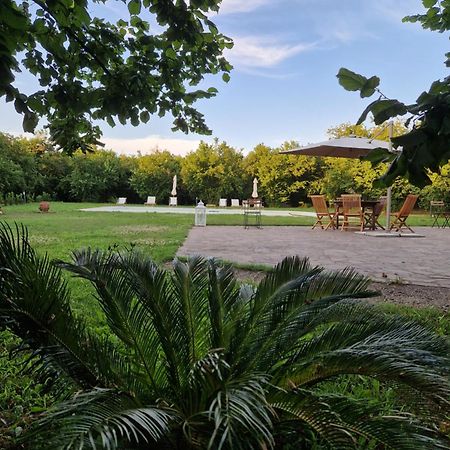 Agriturismo Terre Di Nelio Vignanello Exterior foto